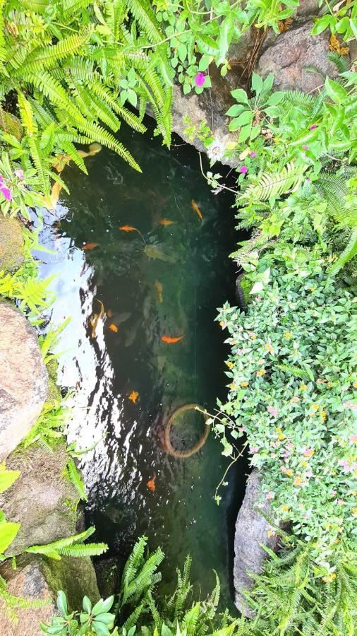 An Nhien Villa Bảo Lộc Kültér fotó